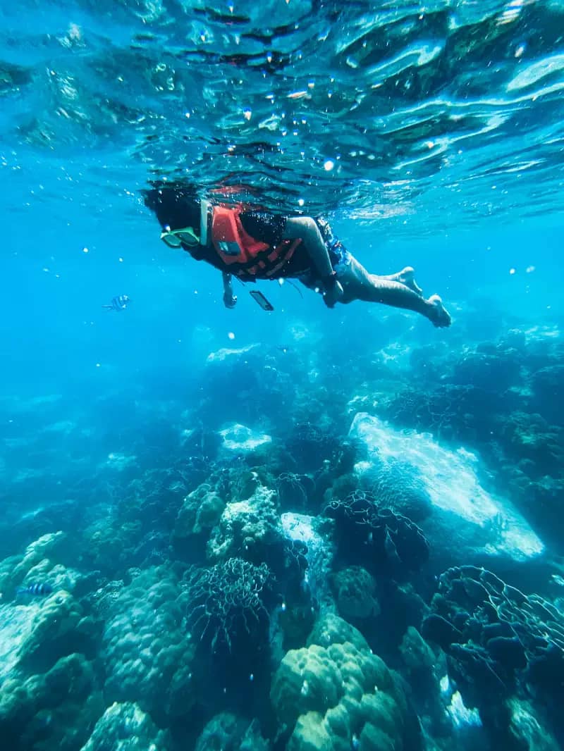 SNORKELLING AT CHUMBE ISLAND