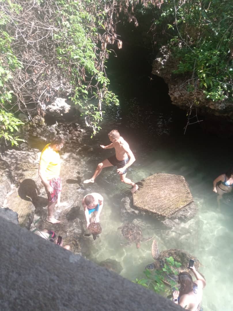 SWIMMING WITH TURTLES